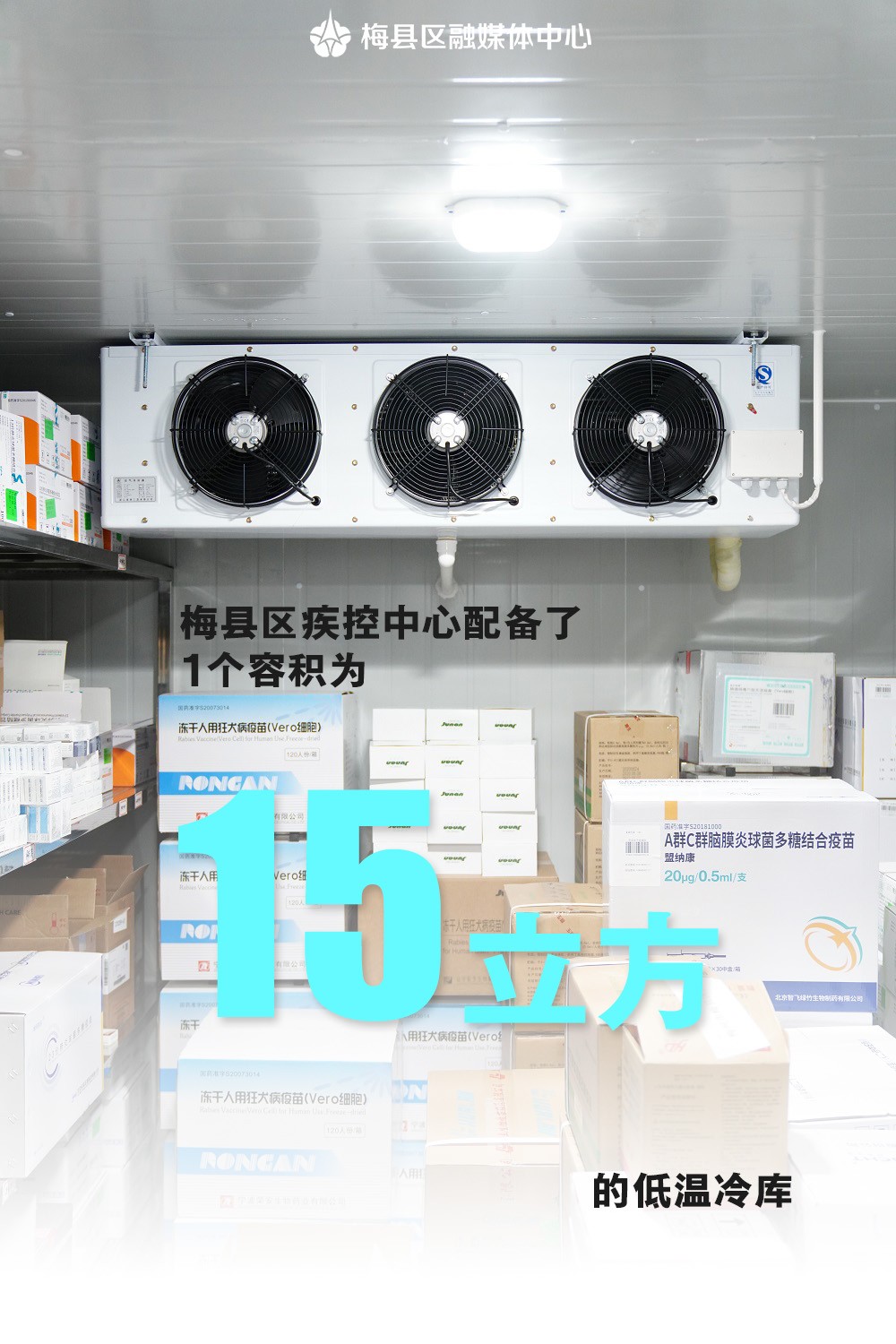 低温冷库海报2.jpg