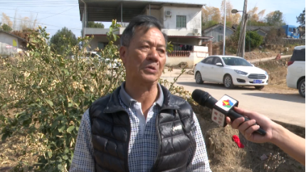 （审）柚树被冻伤，这招可补救！284.png