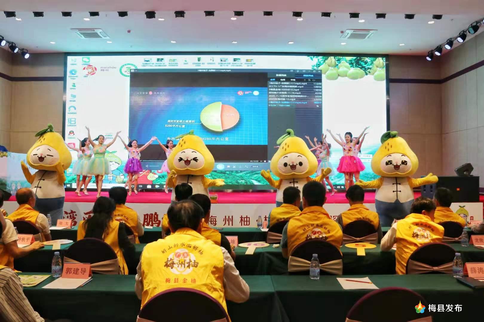 微信图片_20201118204135