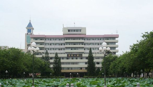 嘉应5