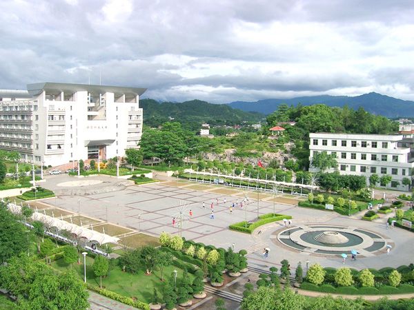 嘉应6