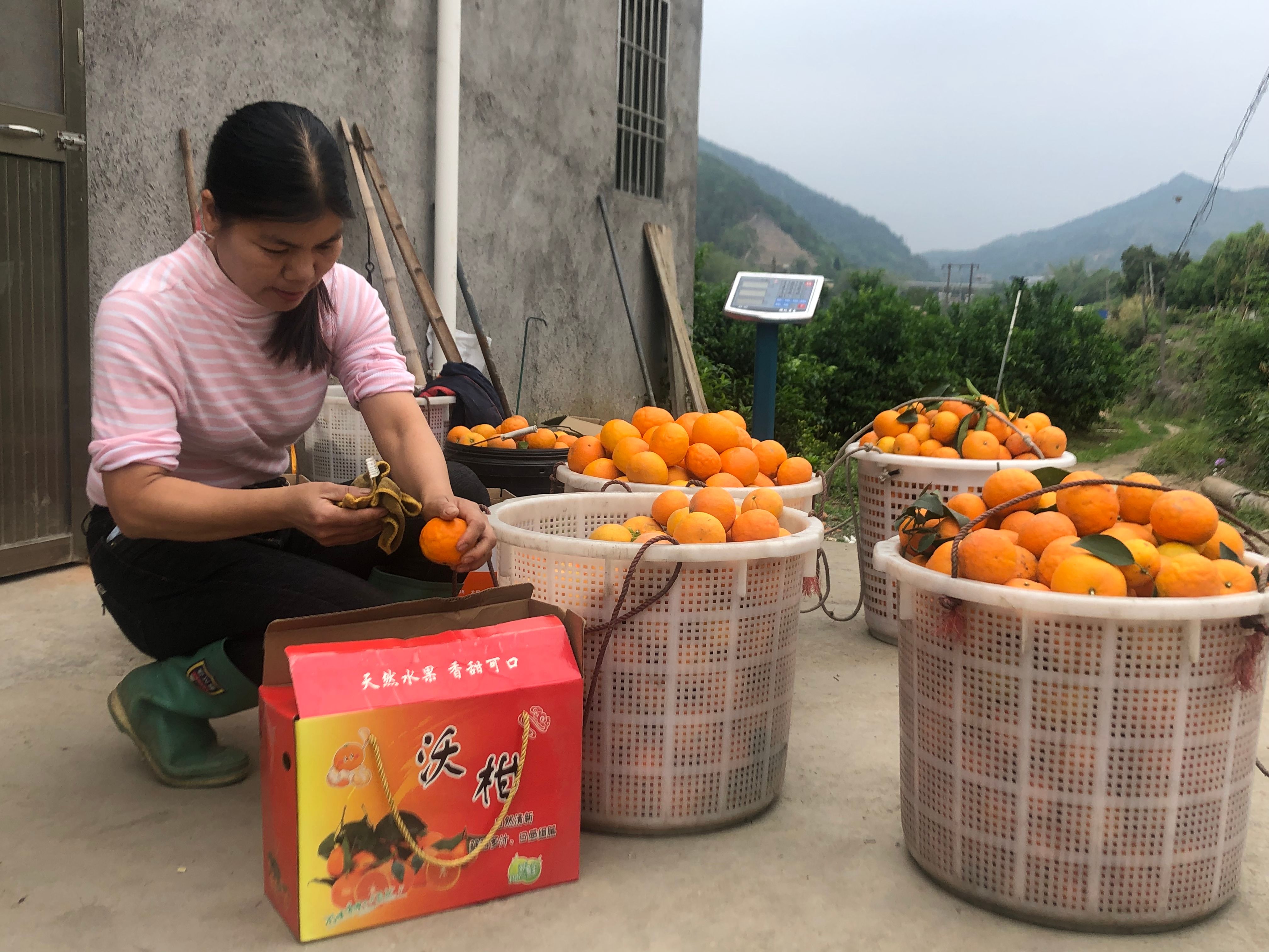 微信图片_202104121012371
