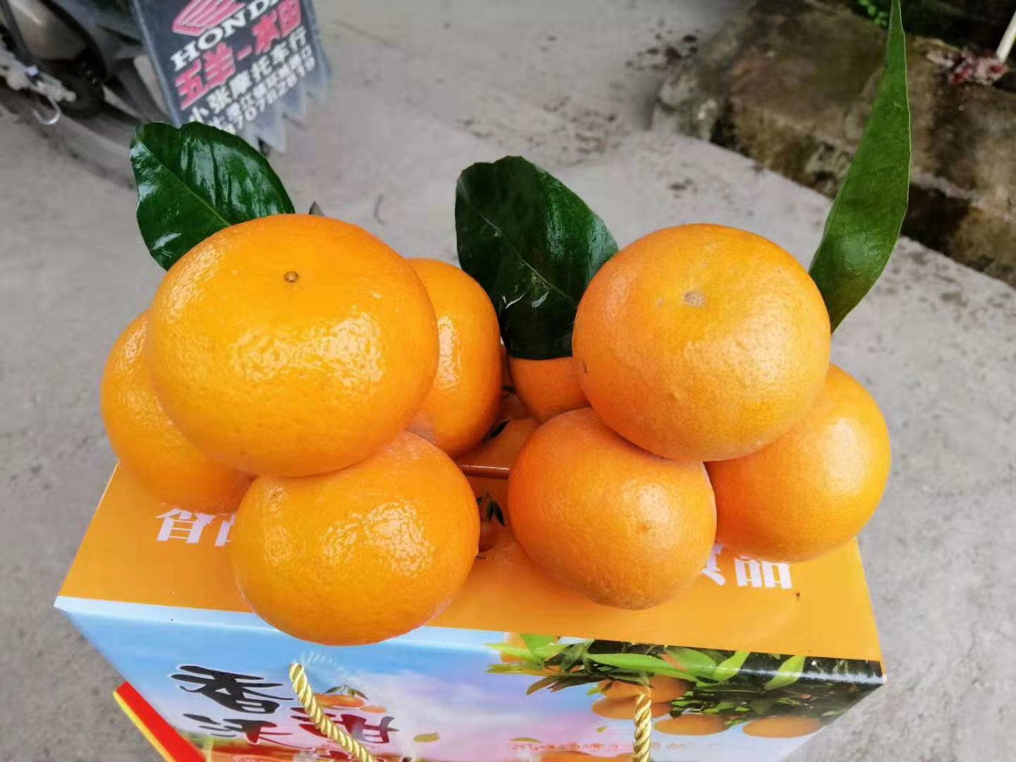 微信图片_202104121013012