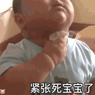 动图1