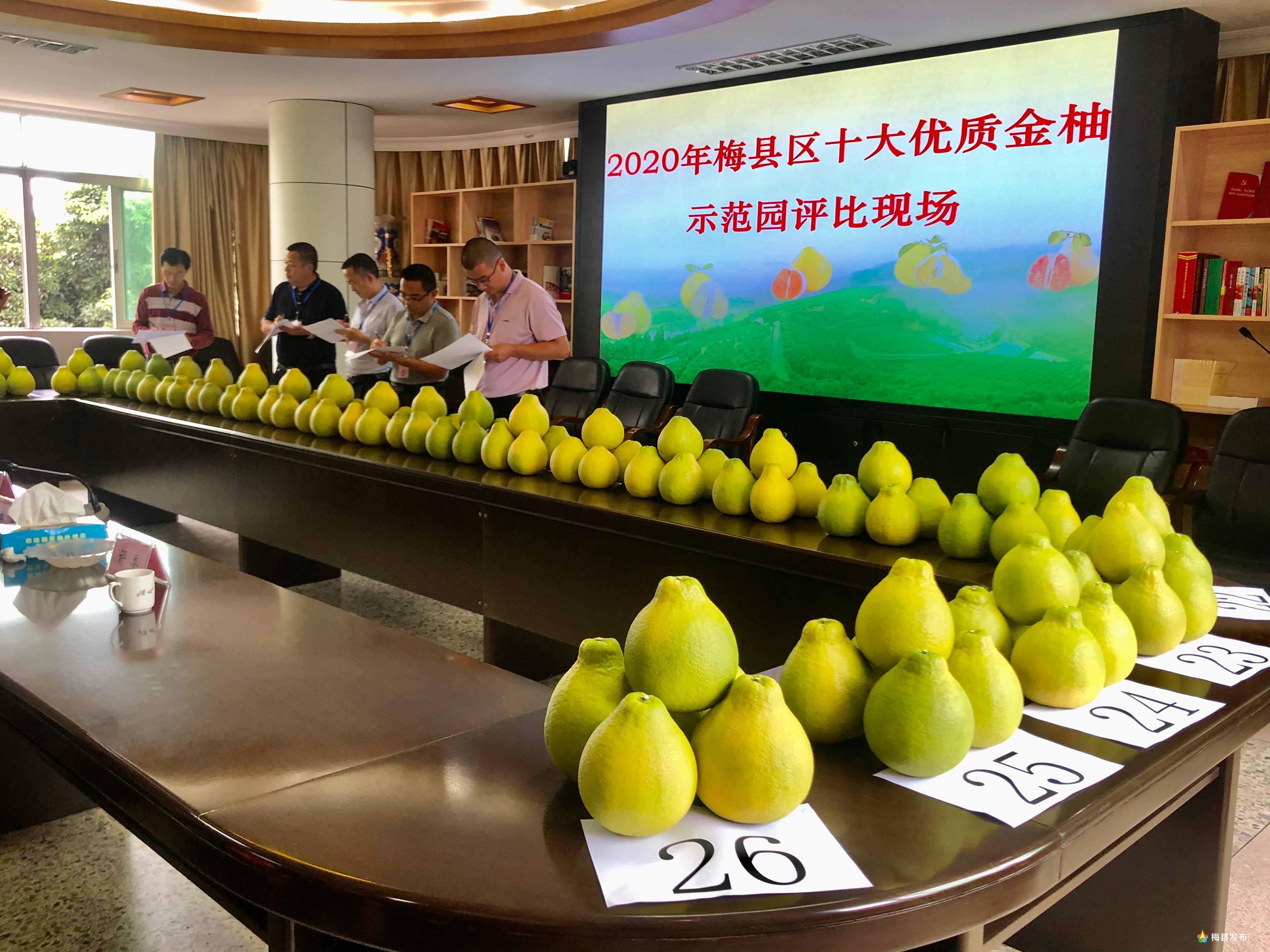 微信图片_20201030095836