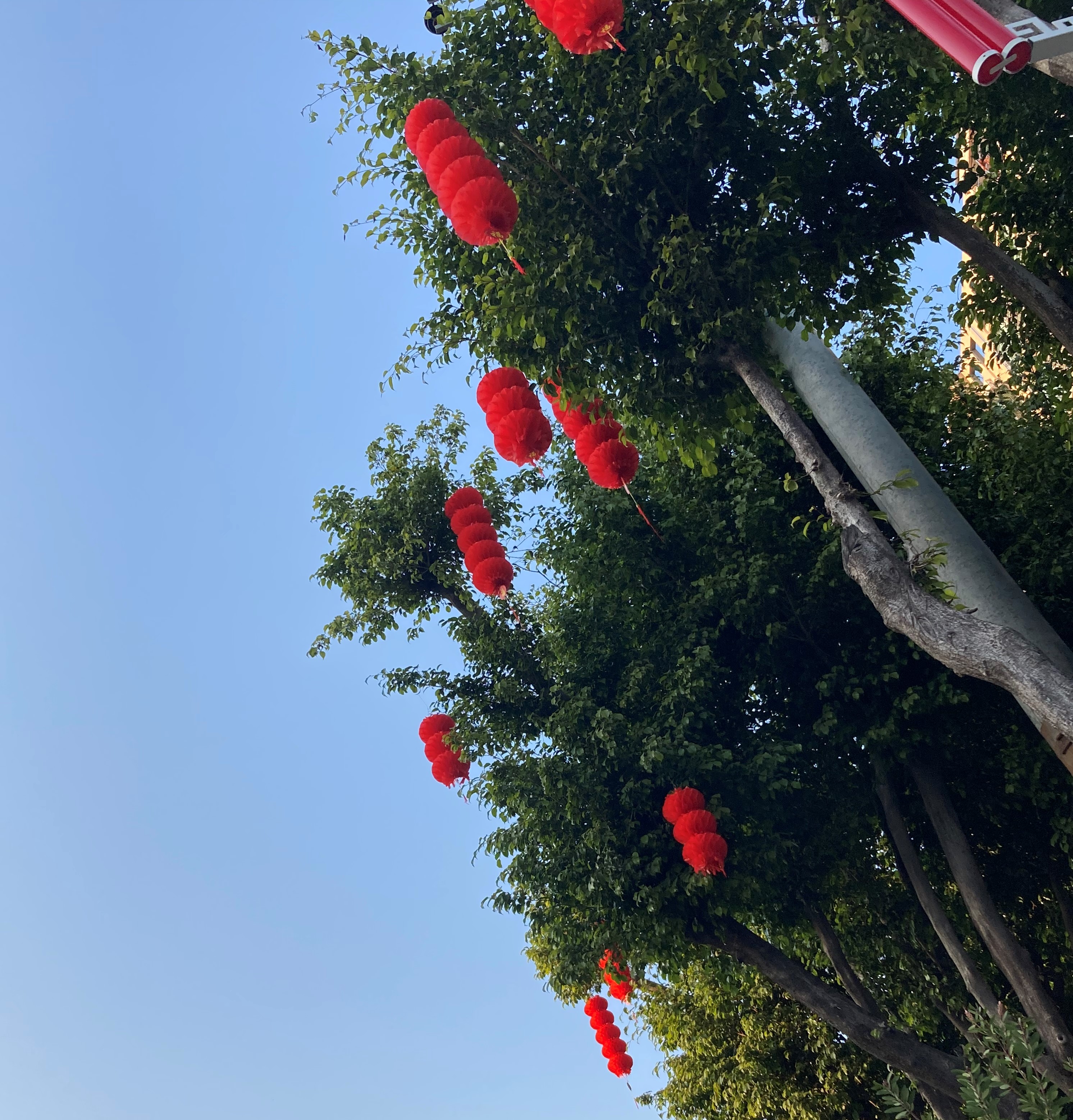 微信图片_20210118184242