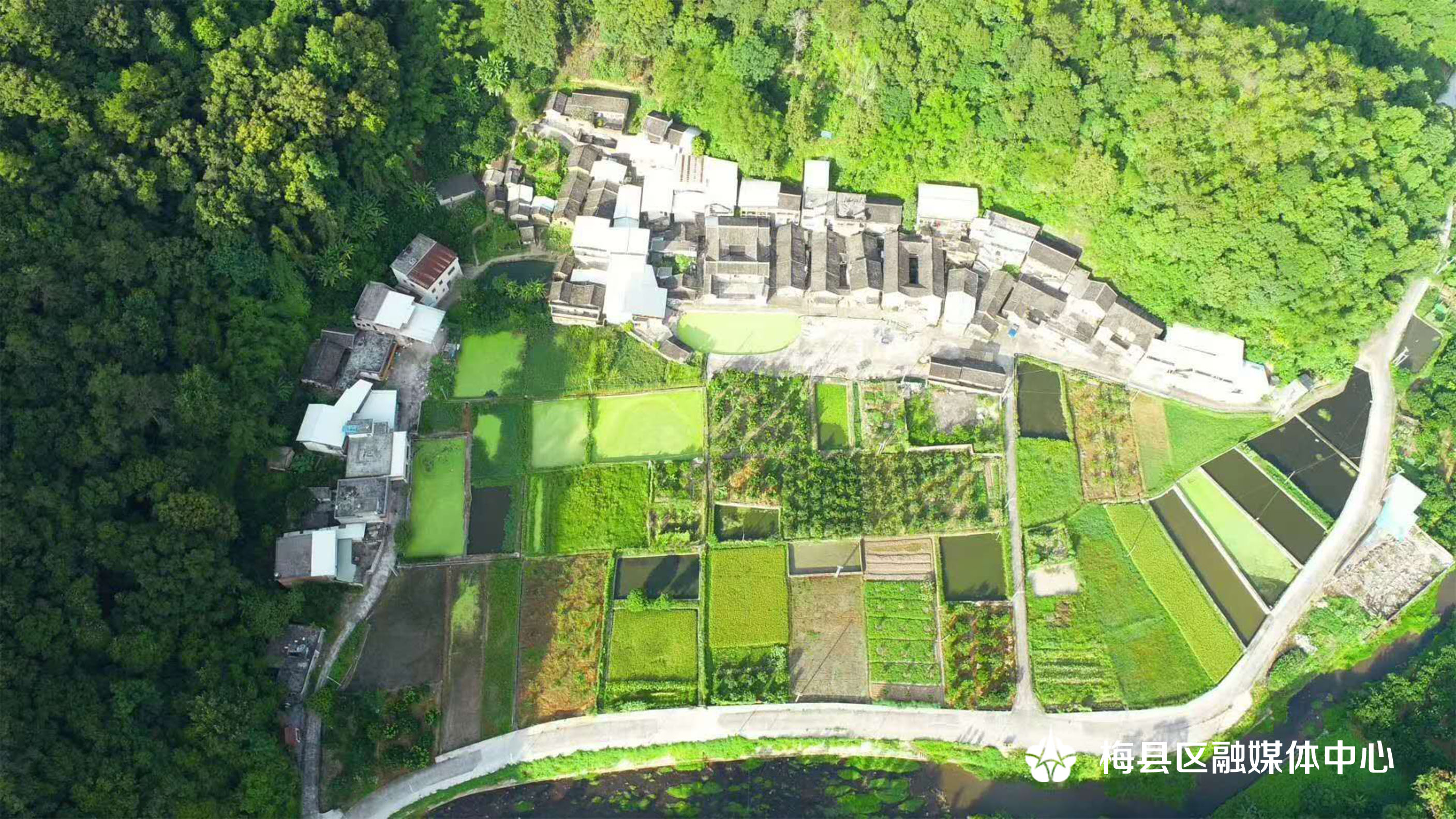 白度悦来村