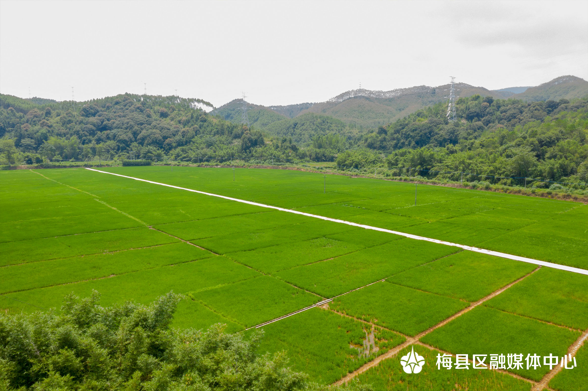白度悦来村2