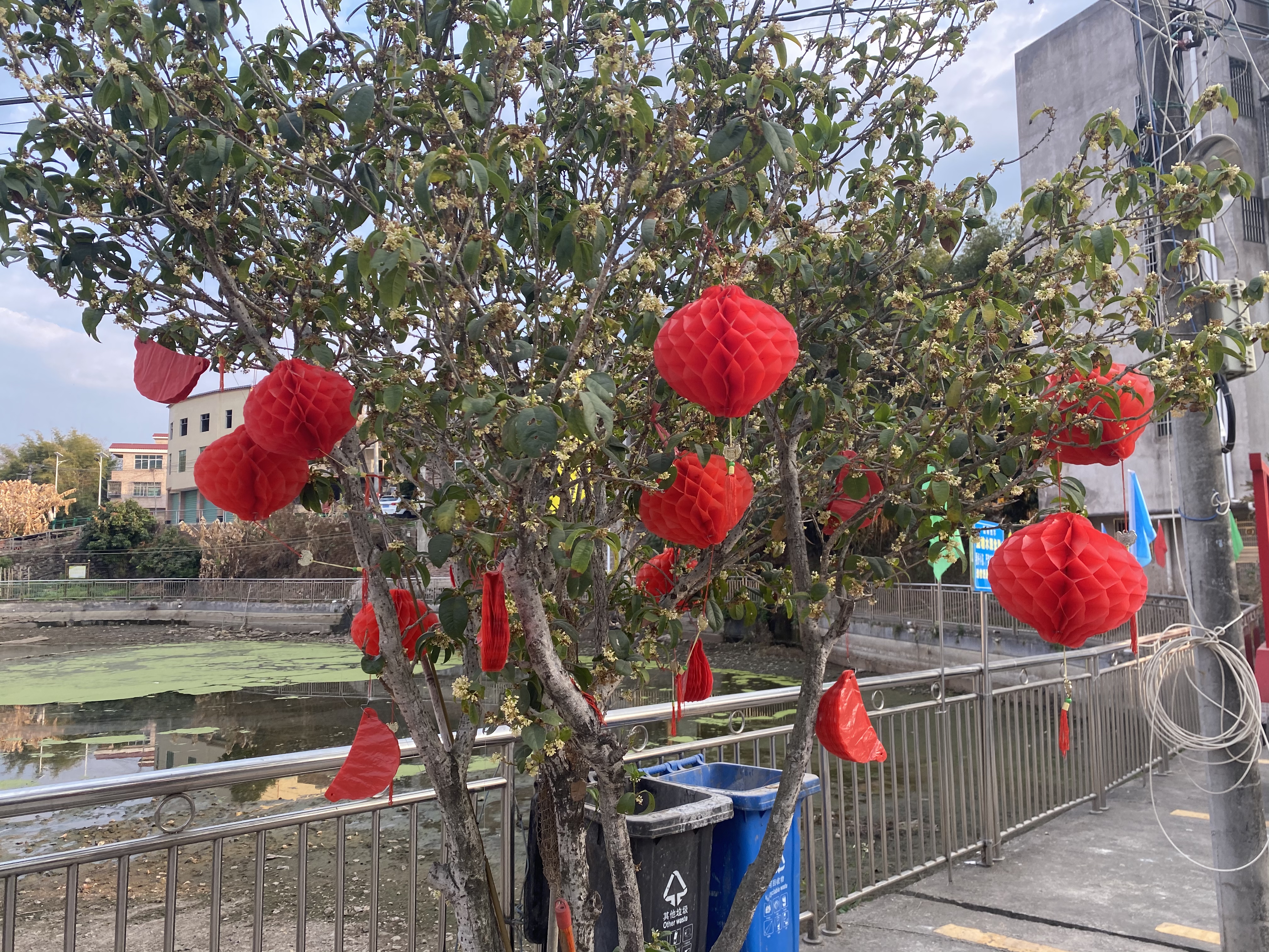 微信图片_20210209141604