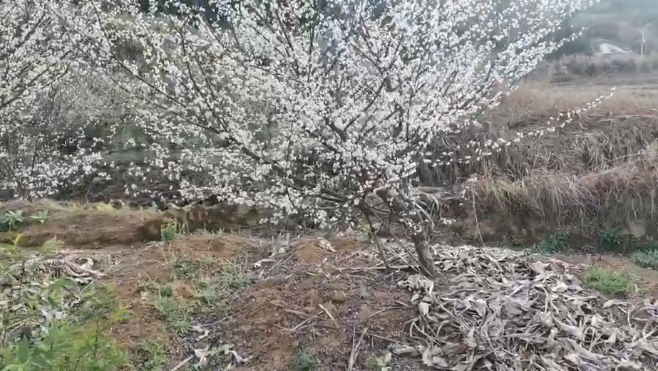 1613630700(1)