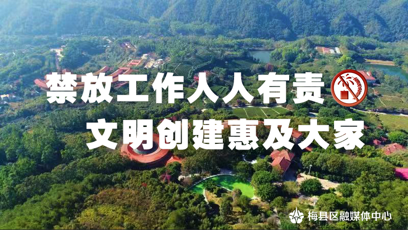 烟花3
