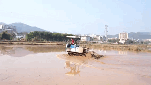 动图1