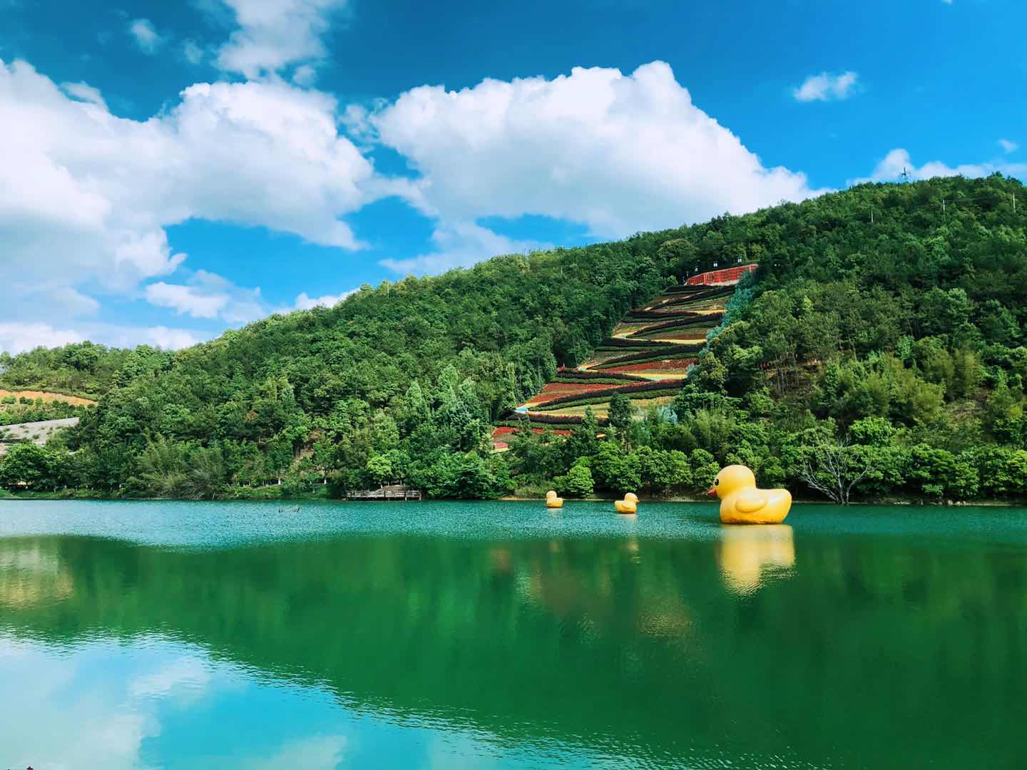 微信图片_20210411121228