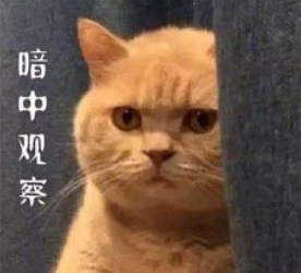 7eb5603c4151fe7dd9890aa09f66303