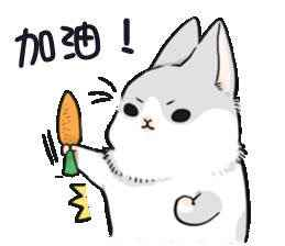 u=2495054754,2236172761&fm=15&gp=0