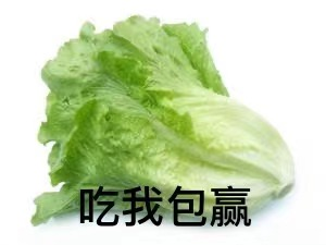 图片8.png