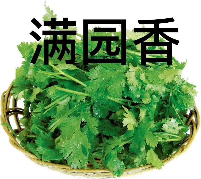 图片10.png