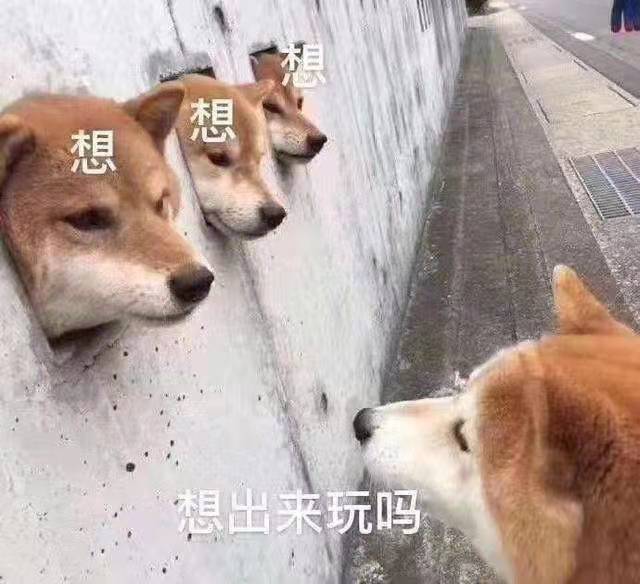 微信图片_20220202213104