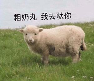 图片1