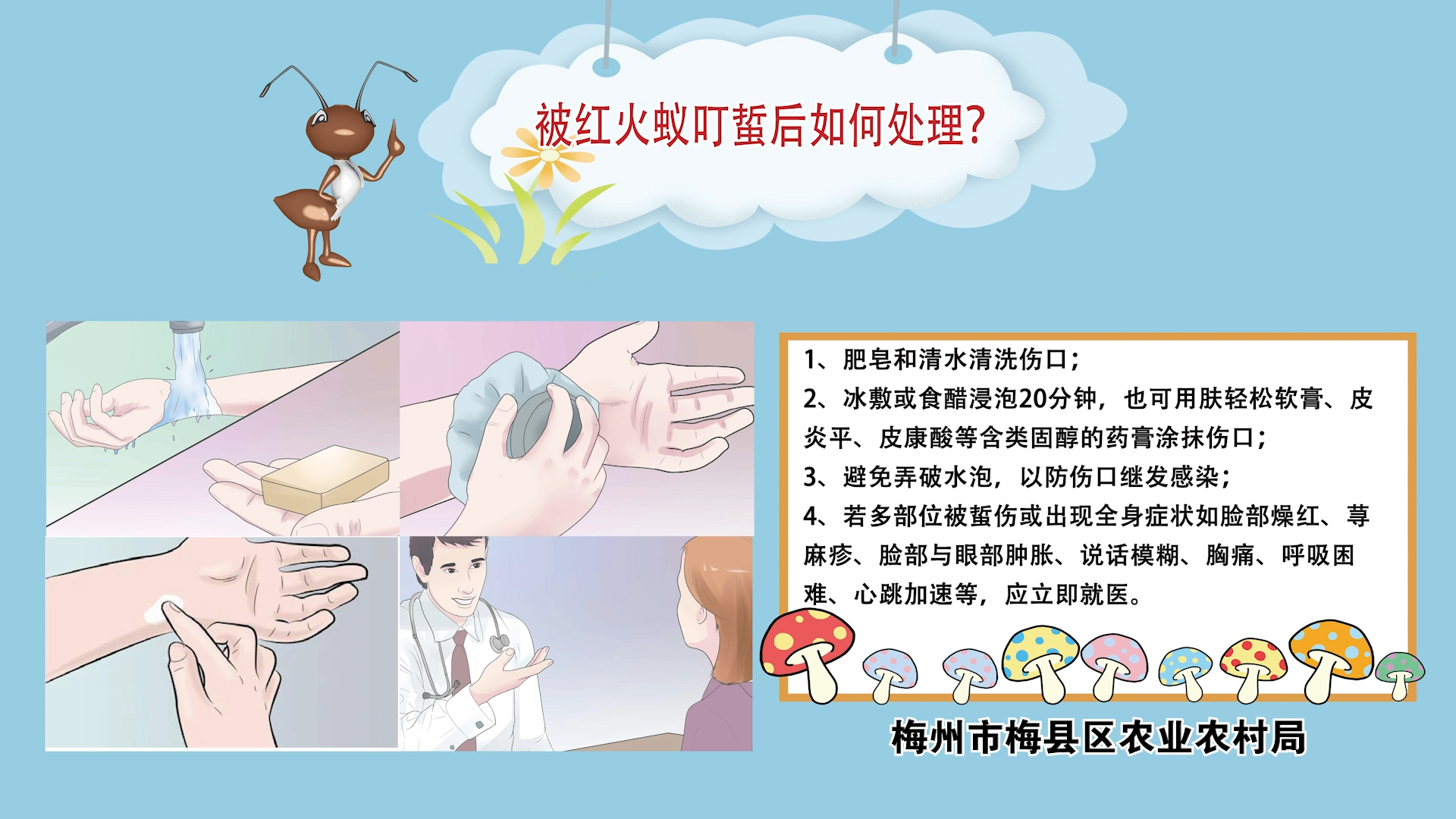 防治红火蚁333333333[00_00_41][20210930-155400]