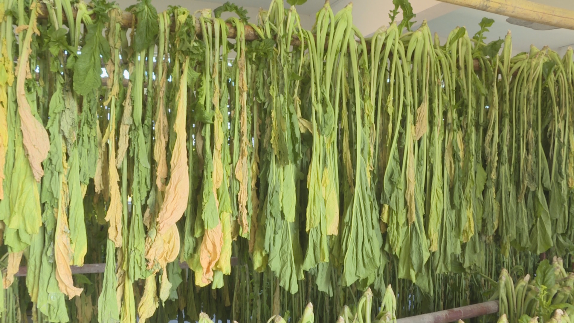 微信图片_20220106125835