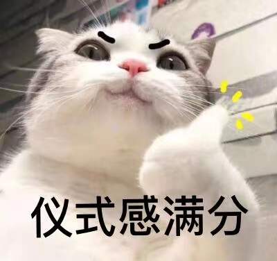 a72a2e23e030e0ca065bf249a270537