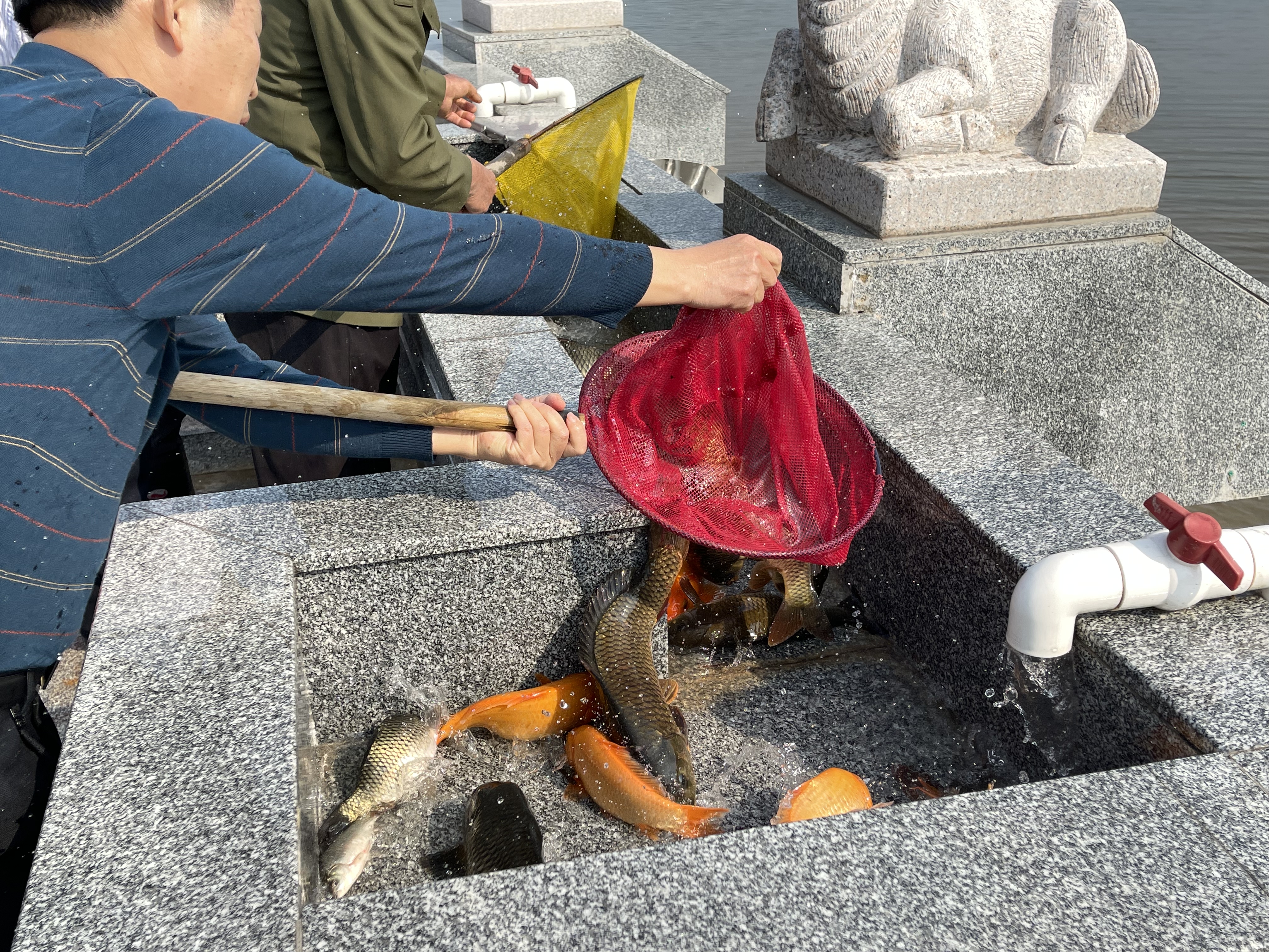 微信图片_20220304145655