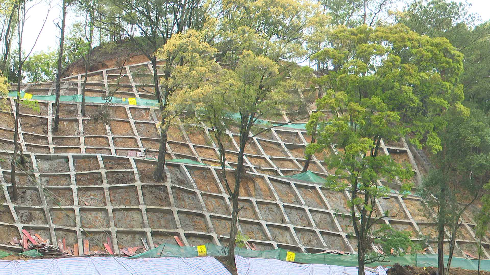 微信图片_20220325144659