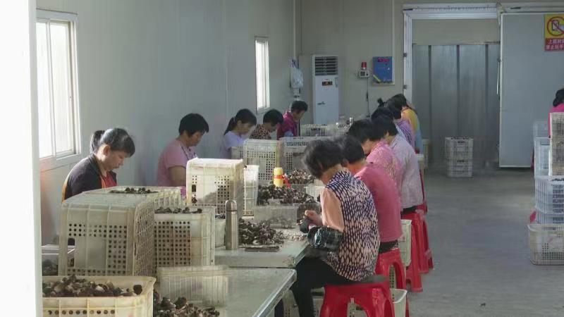 微信图片_20220606155632