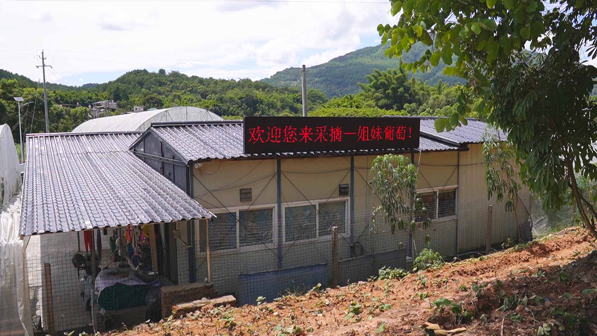 微信图片_20220809105902