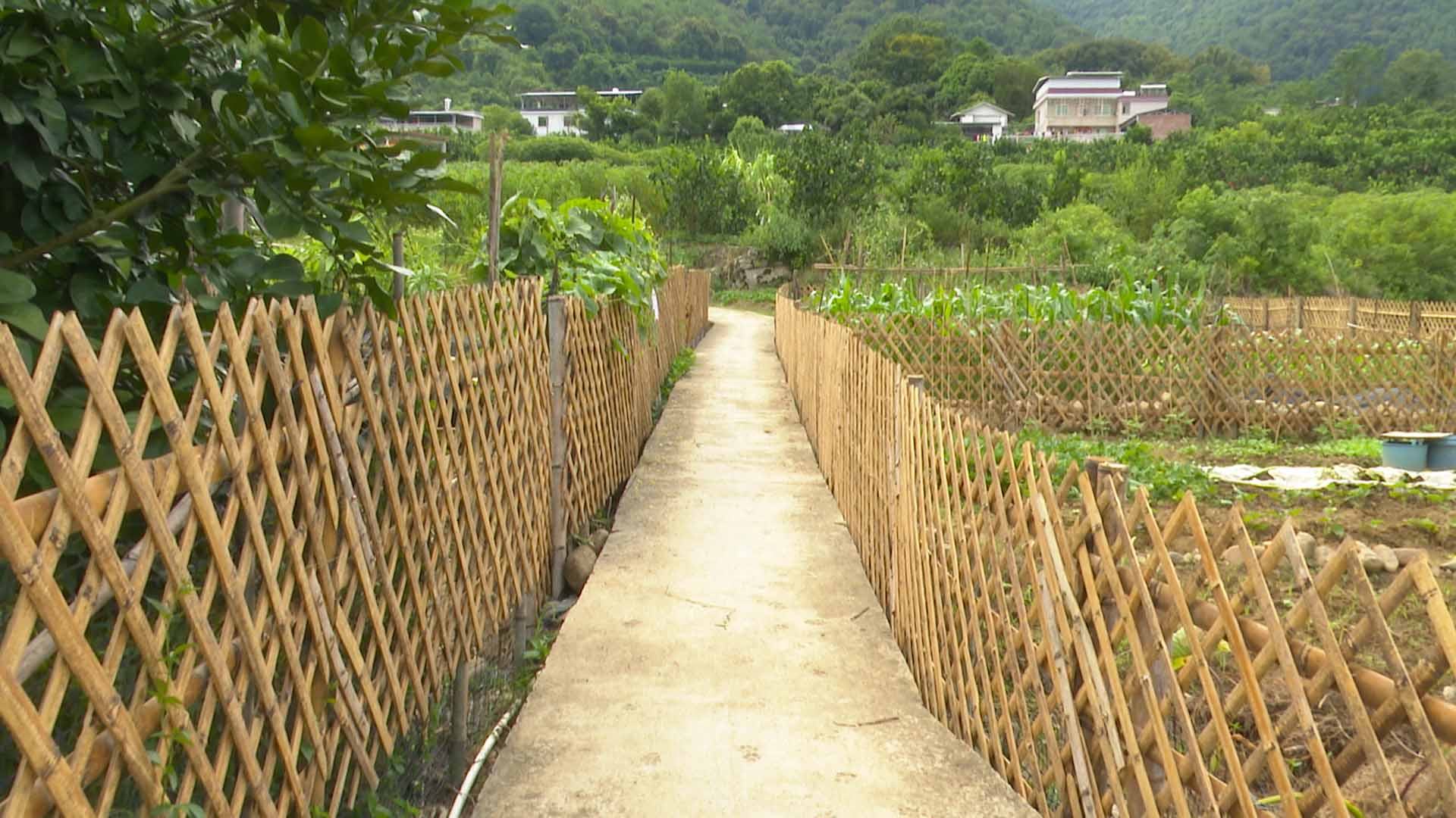 微信图片_20220818163221