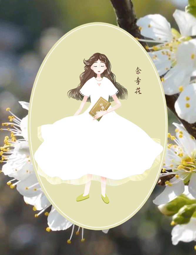 奈李花1