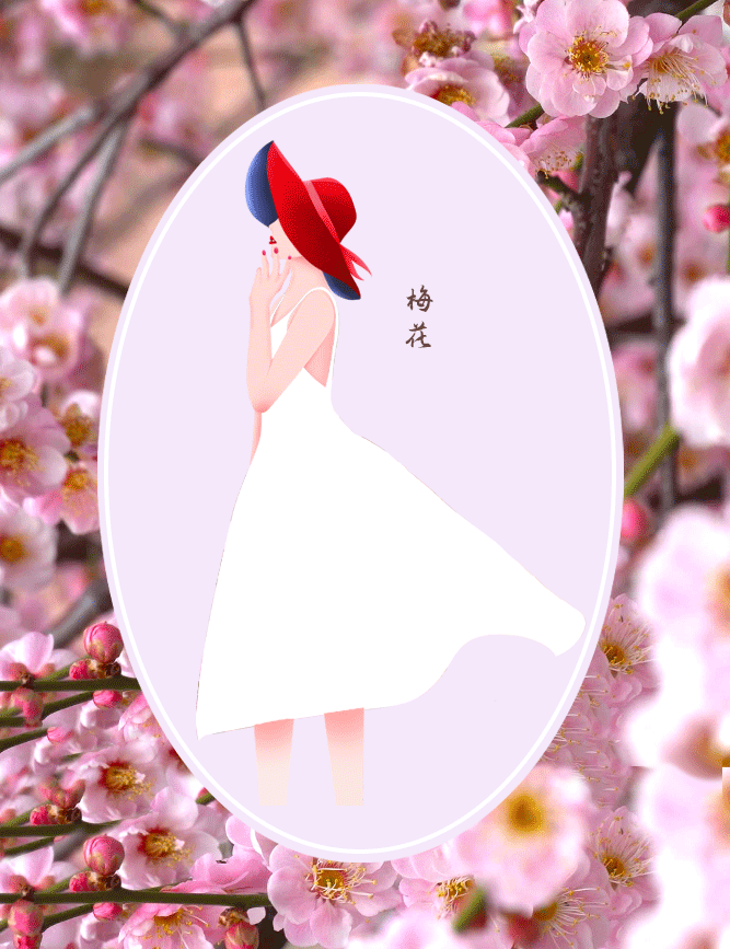 梅花app