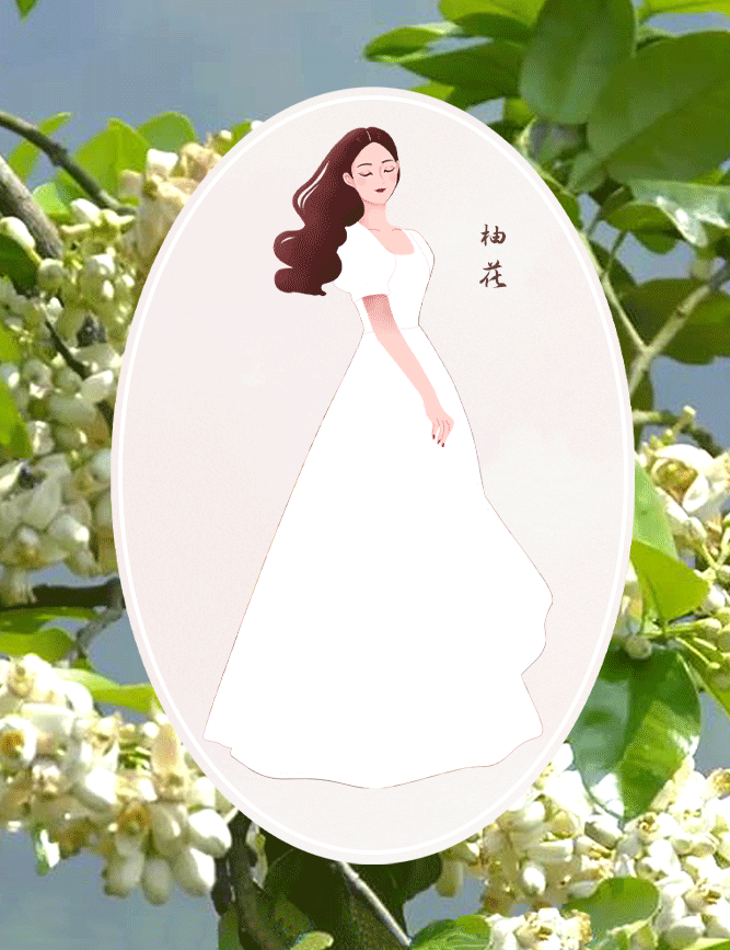 柚花app