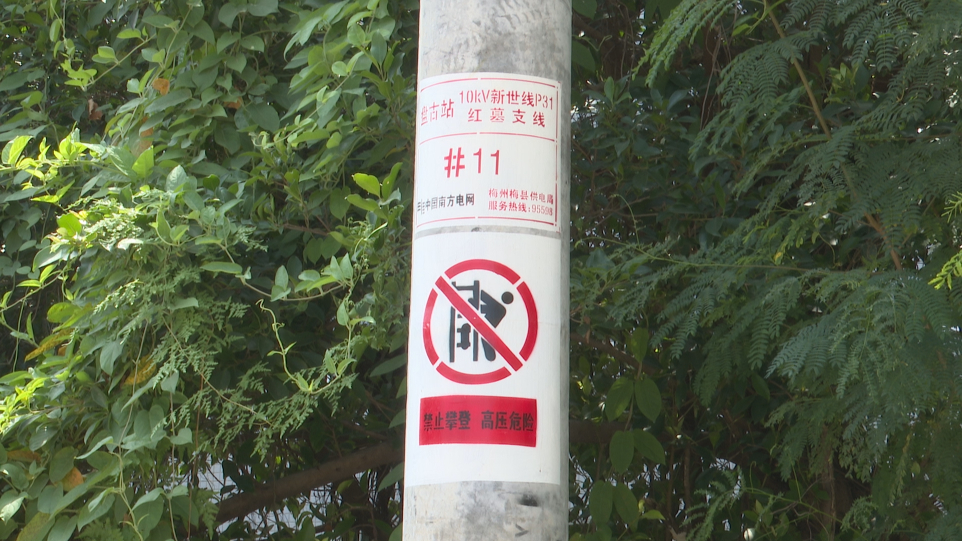 微信图片_20230523111431