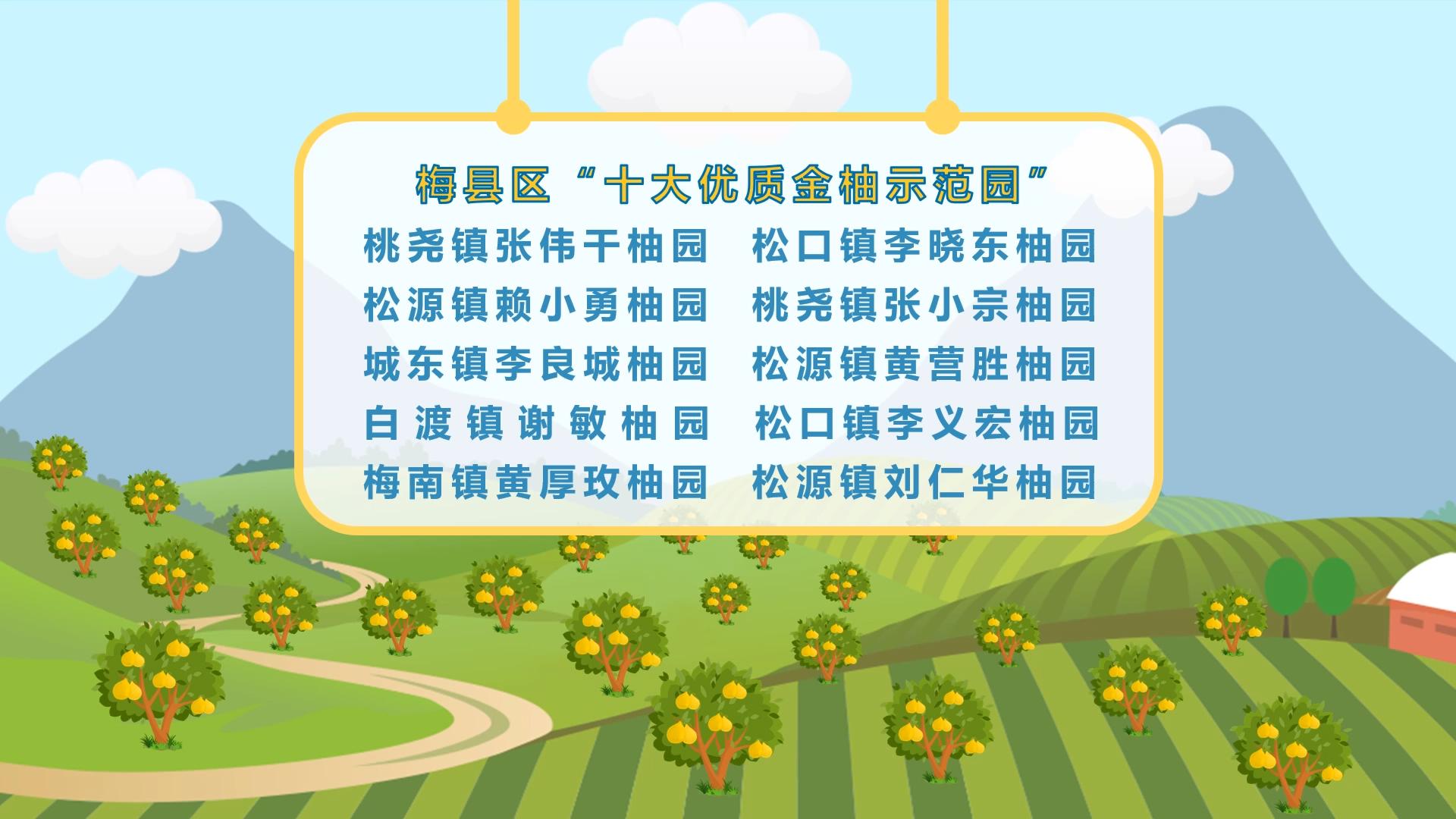 11.6柚园评比.mp4_20231106_203323347